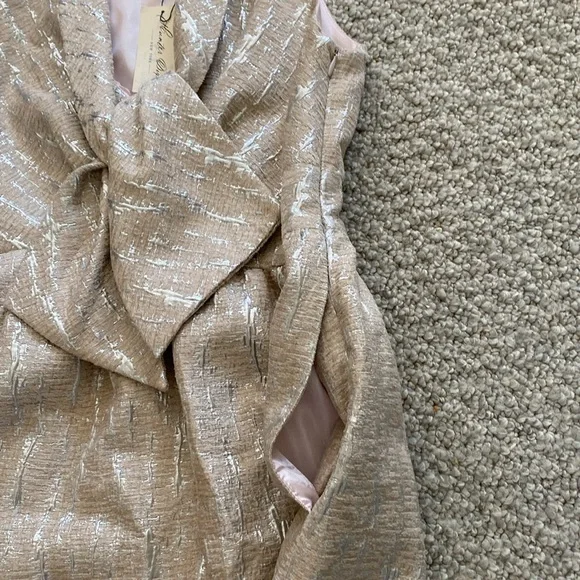 Vintage hunter Dixon brocade lined dress in silver & blush size 2 - Picture 5 of 14